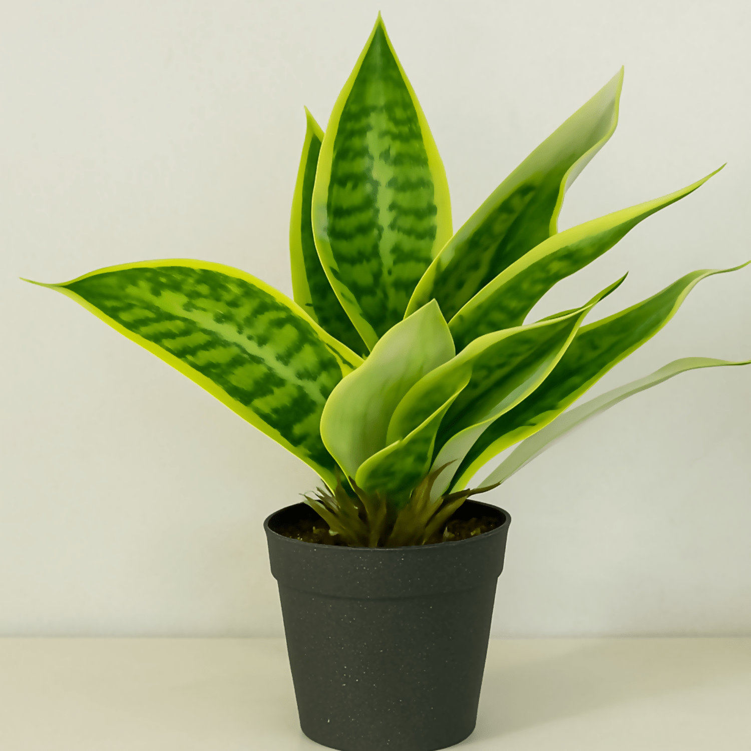 Realistic Faux Snake Plant in Black Pot, Sansevieria Indoor Home Decor